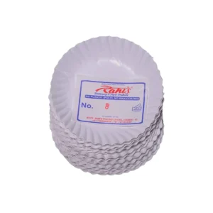 6 Party Plates
