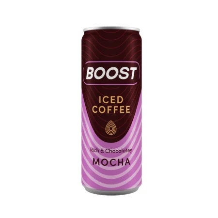 Boost Iced Mocha Pm-Ú1.19