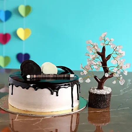 Drooly Cake