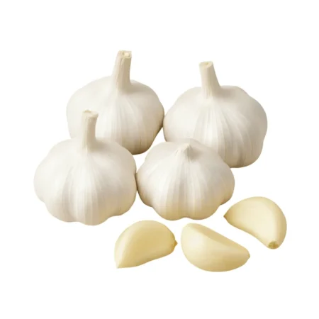 Garlic